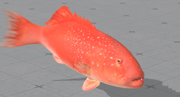 New Fish, Balance,&nbsp;Polish